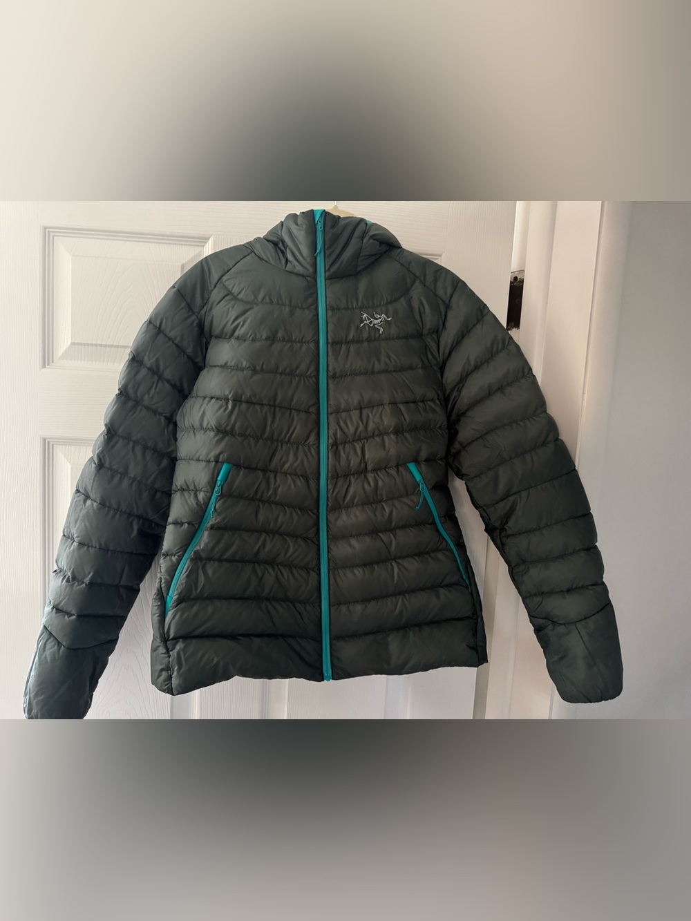 Arc'teryx cerium Lt womens hooded down Jacket